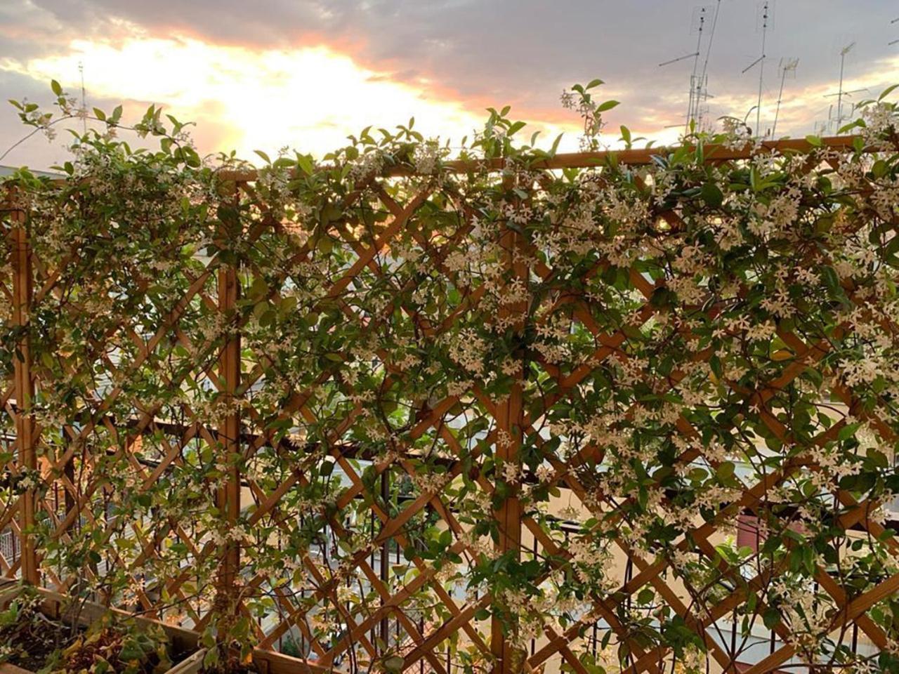 مبيت وإفطار روما In Terrazza Da Giusy المظهر الخارجي الصورة